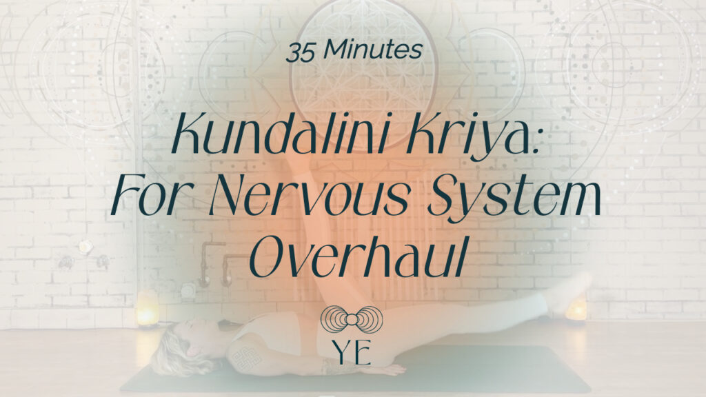 Nervous System Overhaul